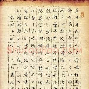 连增思(成人组)硬笔书法大赛 入围作品选登图片欣赏