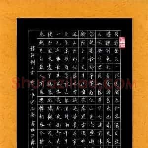 宋志峰 硬笔楷书作品《稼轩词二首》图片欣赏