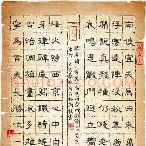 林朝枝(成人组)硬笔书法大赛 入围作品选登图片欣赏