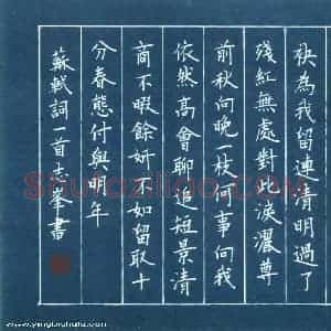 宋志峰 硬笔楷书作品《苏轼词一首》图片欣赏