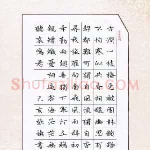 张旗(成人组)硬笔书法大赛 入围作品选登图片欣赏