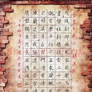 徐云刚(成人组)硬笔书法大赛 入围作品选登图片欣赏