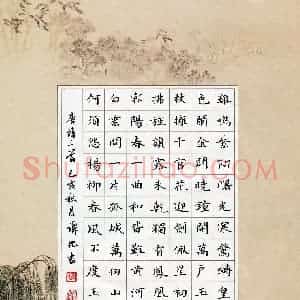 谭化(成人组)硬笔书法大赛 入围作品选登图片欣赏