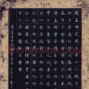 叶立山 硬笔楷书作品《中国钢笔书法杂志选文》图片欣赏