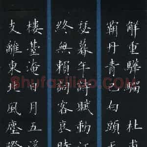 姜浩 硬笔楷书作品《杜甫诗二首》图片欣赏
