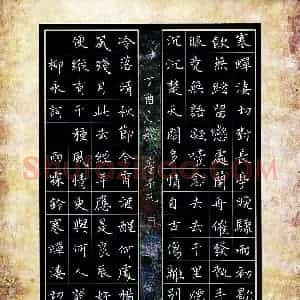 李子凡(少儿组 14岁 特等奖)硬笔书法大赛 获奖作品图片欣赏