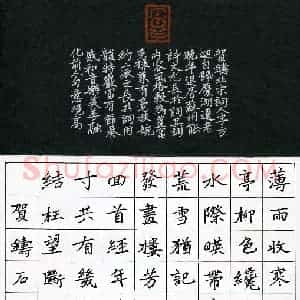 庄标(成人组)硬笔书法大赛 入围作品选登图片欣赏
