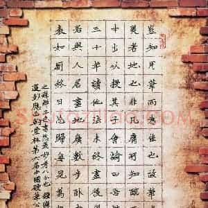王大志(成人组)硬笔书法大赛 入围作品选登图片欣赏