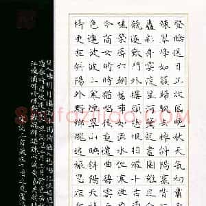 卢姿谕(少儿组 14岁 特等奖)硬笔书法大赛 获奖作品图片欣赏