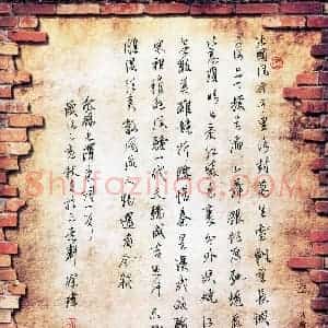 徐玮(成人组)硬笔书法大赛 入围作品选登图片欣赏