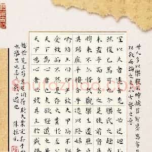 陈振元(少儿组 14岁 特等奖)硬笔书法大赛 获奖作品图片欣赏