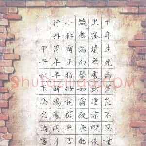冯文涛 硬笔楷书作品《苏轼词江城子·乙卯正月二十日夜记梦》图片欣赏