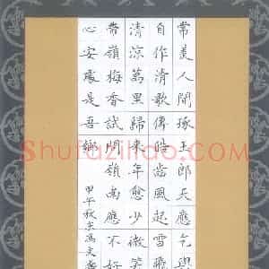 冯文涛 硬笔楷书作品《苏轼词定风波》图片欣赏