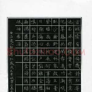 雷必春(成人组)硬笔书法大赛 入围作品选登图片欣赏