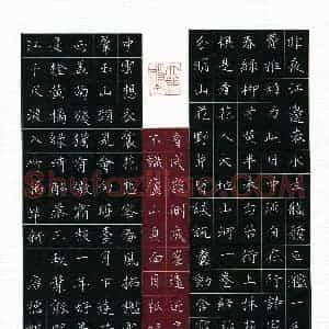 唐德谋(成人组)硬笔书法大赛 入围作品选登图片欣赏
