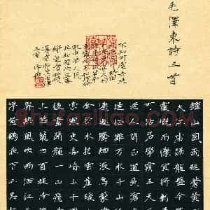 王宇航(成人组)硬笔书法大赛 入围作品选登图片欣赏