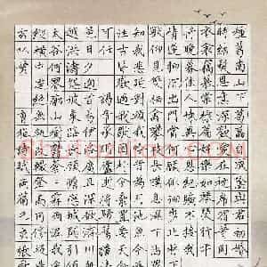 张舜(成人组)硬笔书法大赛 入围作品选登图片欣赏
