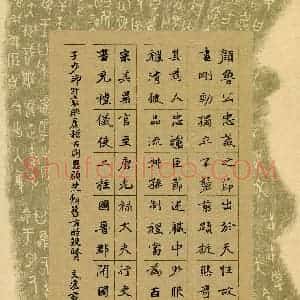 姚文宏(成人组)硬笔书法大赛 入围作品选登图片欣赏