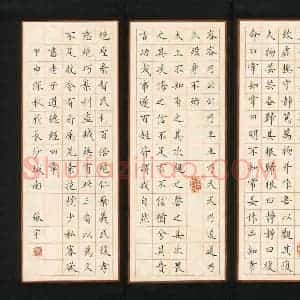 张宇 硬笔楷书作品《老子道德经四章》图片欣赏