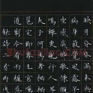 姜浩 硬笔楷书作品《诗二首》图片欣赏