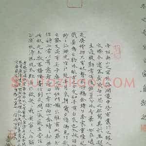 覃有志(成人组)硬笔书法大赛 入围作品选登图片欣赏