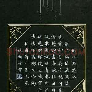 张树楠(成人组)硬笔书法大赛 入围作品选登图片欣赏