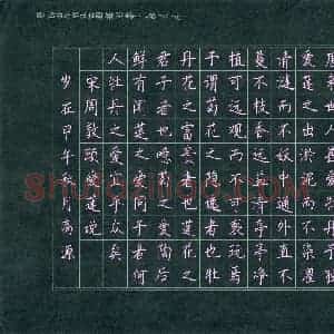 高源(少儿组 14岁 银奖)硬笔书法大赛 获奖作品图片欣赏