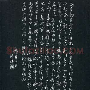 张梓澳(少儿组 17岁 特等奖)硬笔书法大赛 获奖作品图片欣赏