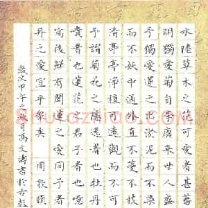 冯文涛 硬笔楷书作品《周敦颐爱莲说》图片欣赏