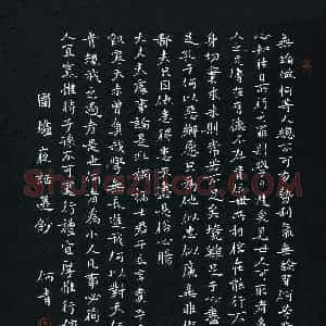 何青(成人组)硬笔书法大赛 入围作品选登图片欣赏