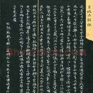 袁国通(成人组)硬笔书法大赛 入围作品选登图片欣赏