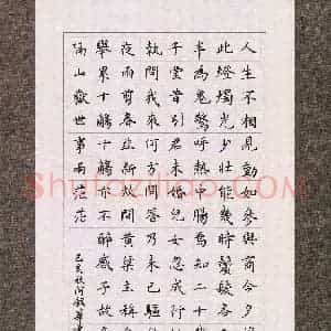 何银华(成人组)硬笔书法大赛 入围作品选登图片欣赏