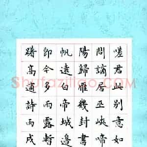张颢 硬笔楷书作品《高适诗》图片欣赏