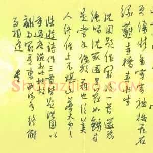 朱星星 硬笔行书作品《陆游诗三首》图片欣赏
