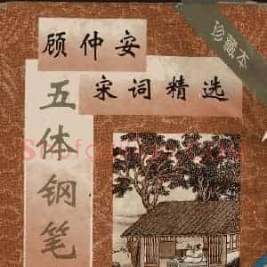 顾仲安 宋词精选五体钢笔字帖 名家字帖