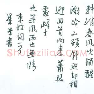 朱星星 硬笔行书作品《东坡词一首》图片欣赏