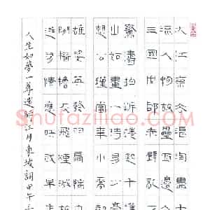 胡三银(成人组 优秀奖)硬笔书法大赛 获奖作品图片欣赏