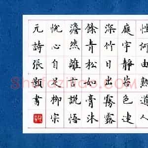 张颢 硬笔楷书作品《柳宗元诗》图片欣赏