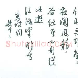 朱星星 硬笔行书作品《东坡词临江仙》图片欣赏
