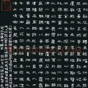 安鹏飞(成人组 铜奖)硬笔书法大赛 获奖作品图片欣赏