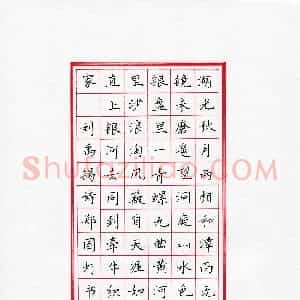 郑国灯(成人组)硬笔书法大赛 入围作品选登图片欣赏