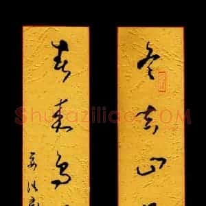 姜浩 硬笔草书作品《六言联》图片欣赏