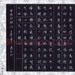 汤远昌 硬笔楷书作品《曹操诗短歌行》图片欣赏