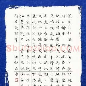 钟长春(成人组)硬笔书法大赛 入围作品选登图片欣赏