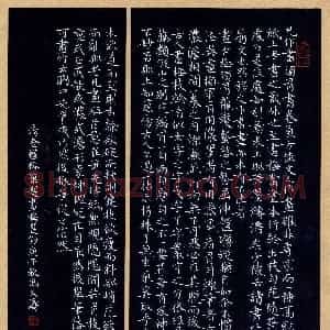 冯文涛 硬笔楷书作品《清查礼榕题画梅选抄》图片欣赏