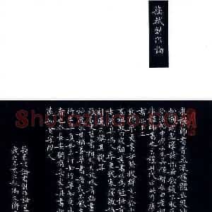 冯文涛 硬笔楷书作品《苏轼创作论》图片欣赏