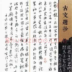 陶浪(成人组 银奖)硬笔书法大赛 获奖作品图片欣赏