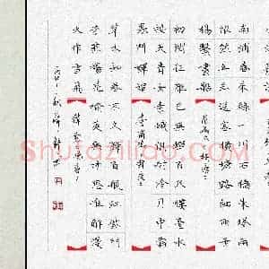 薛蔚(成人组)硬笔书法大赛 入围作品选登图片欣赏