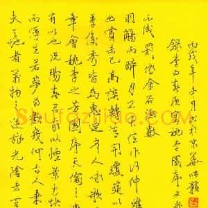 张颢 硬笔行书作品《李白春夜宴请桃李园序文》图片欣赏