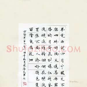 宋维武(成人组)硬笔书法大赛 入围作品选登图片欣赏